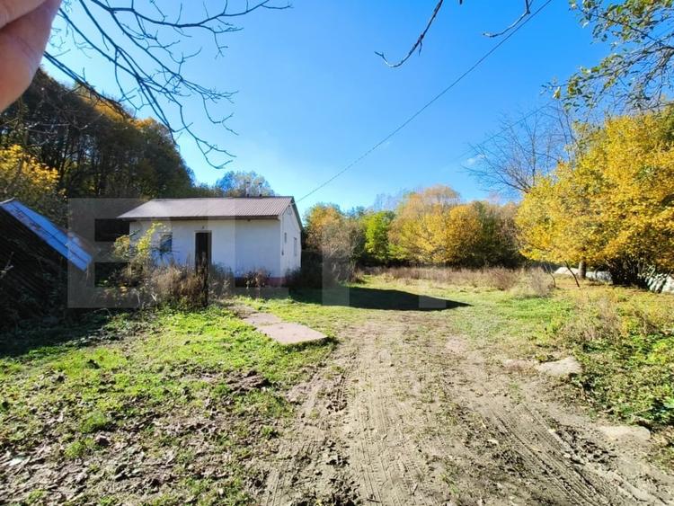 Teren Construcții intravilan de 3600 mp, în Bascov