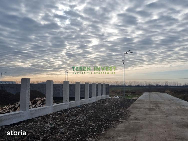 Teren de 460 mp, în Frumușani