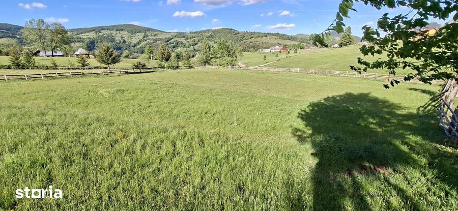 Teren de 2000 mp, în Arieșeni