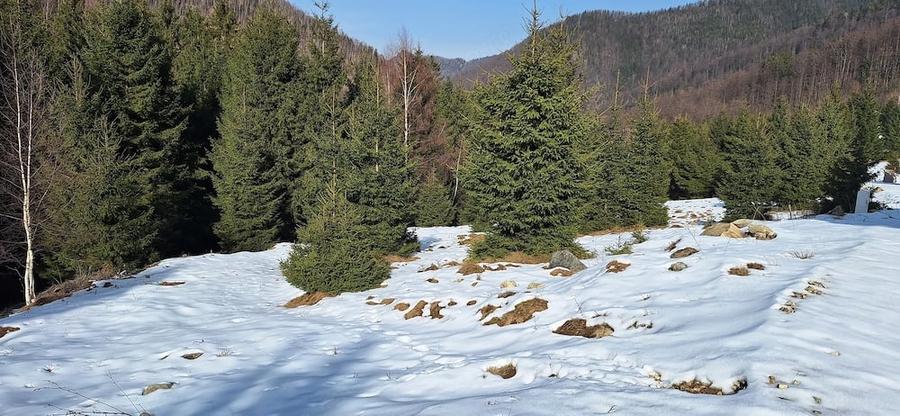 Teren de 300 mp, în Râu de Mori
