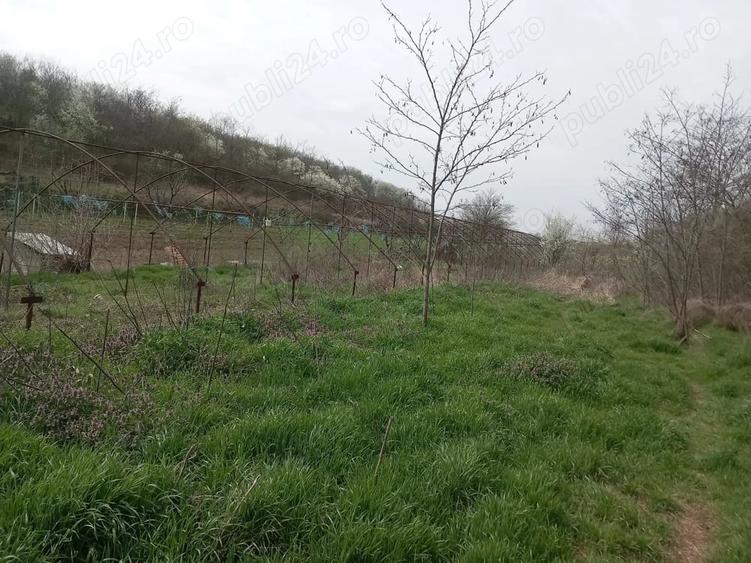 Casă cu 3 camere cu Teren 4700 Mp în Varlaam