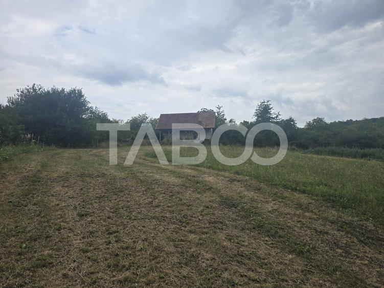 Teren agricol extravilan de 8700 mp, în Șura Mare