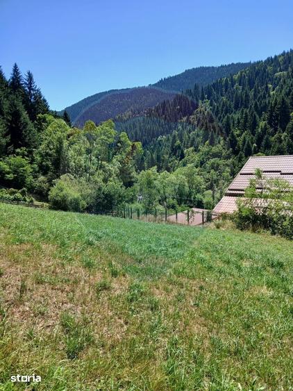 Teren de 1349 mp, în Tolstoi