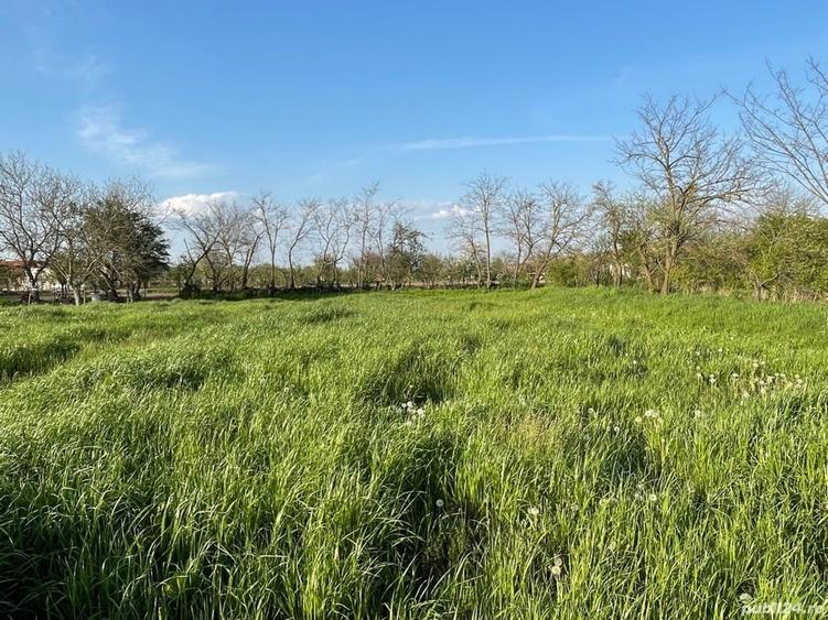 Teren de 3874 mp, în Jabăr