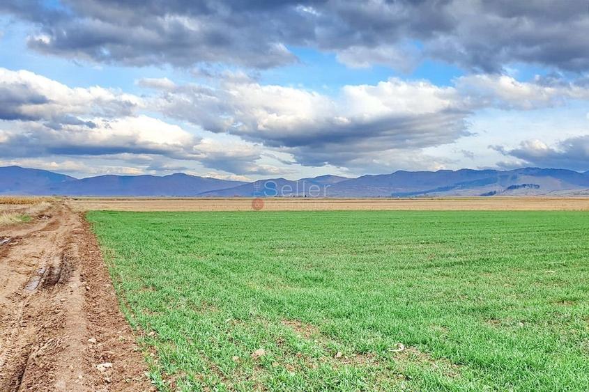 Teren agricol extravilan de 8400 mp, în Tărlungeni