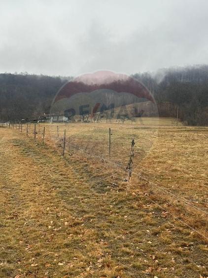 Teren Construcții intravilan de 7135 mp, în Negreni