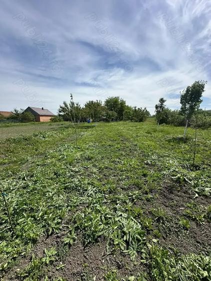 Teren de 1439 mp, în Măderat