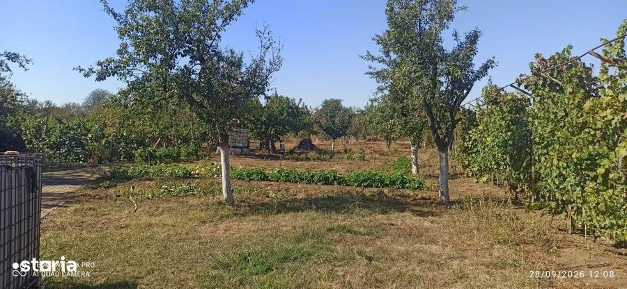 Casă cu 4 camere cu Teren 2259 Mp în Ghioroc
