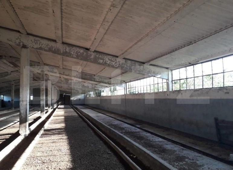 Teren Construcții intravilan de 950000 mp, în Exterior Nord