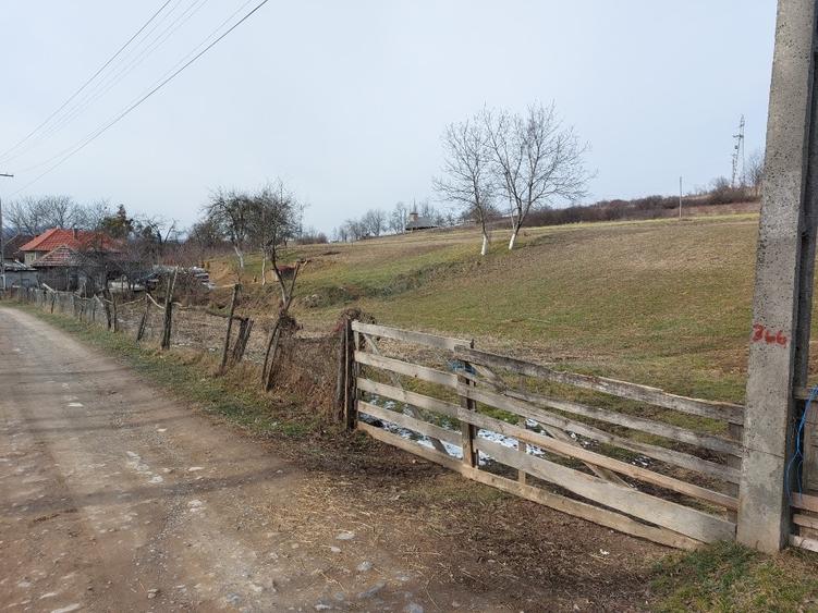 Teren Construcții intravilan de 1305 mp, în Valea Crișului
