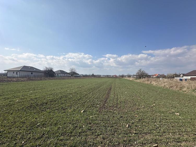 Teren Construcții intravilan de 2000 mp, în Central