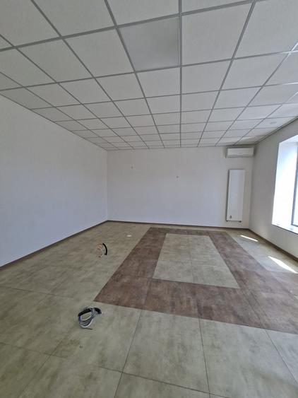 Birou, de 68 mp, în Badea Cârțan