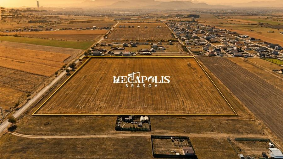 Teren agricol extravilan de 55000 mp, în Bod