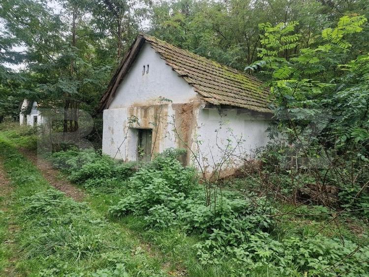 Teren Construcții intravilan de 79000 mp, în Sud