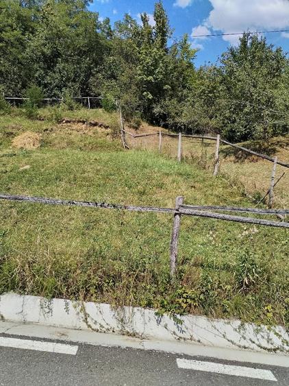 Teren de 520 mp, în Central