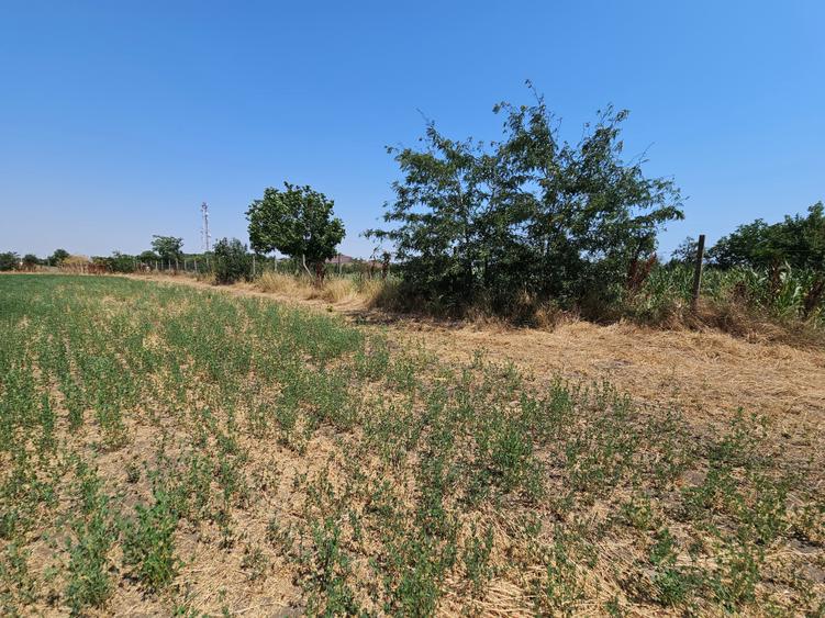 Teren Construcții intravilan de 5465 mp, în Topraisar