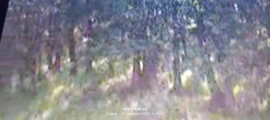 Teren de 10000 mp, în Vulpeni