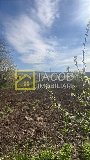 Teren Construcții intravilan de 2554 mp, în Prăjești (Traian)