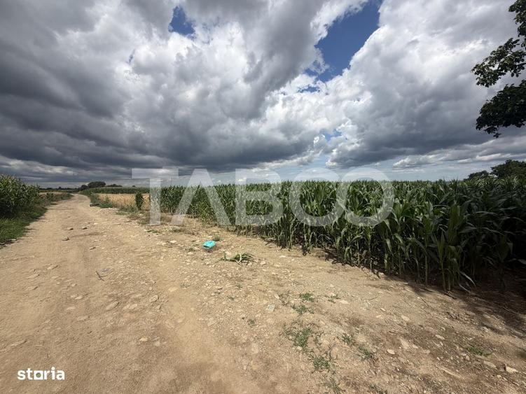 Comision 0% Teren intravilan 3934 mp toate utilitatile zona Dejani - 1