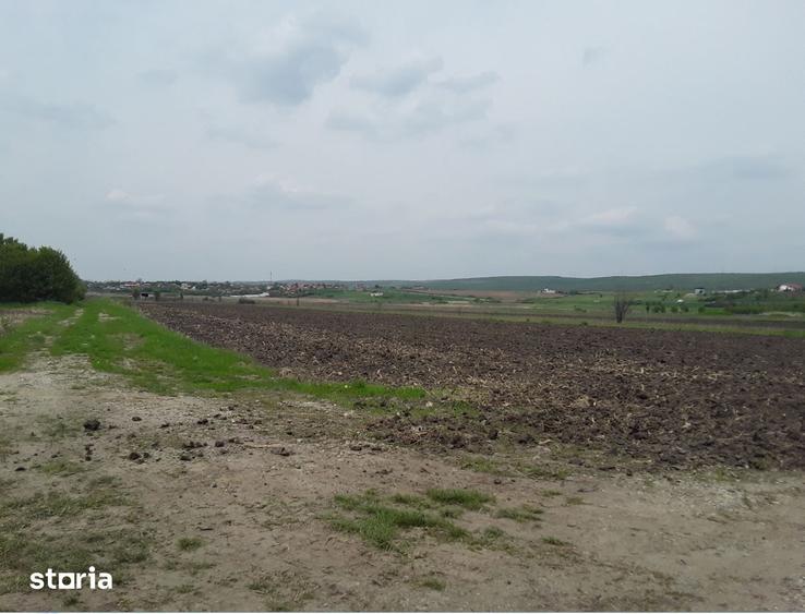 Teren de 7985 mp, în Coțofenii din Față