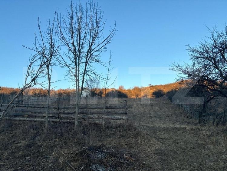 Teren Construcții intravilan de 6500 mp, în Unirea