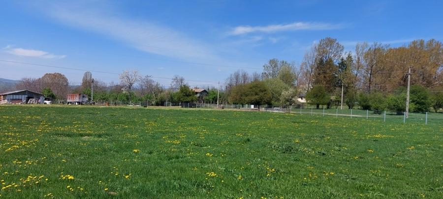 Teren Construcții intravilan de 9900 mp, în Mușcel