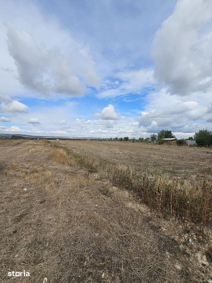 Teren de 2000 mp, în Saca