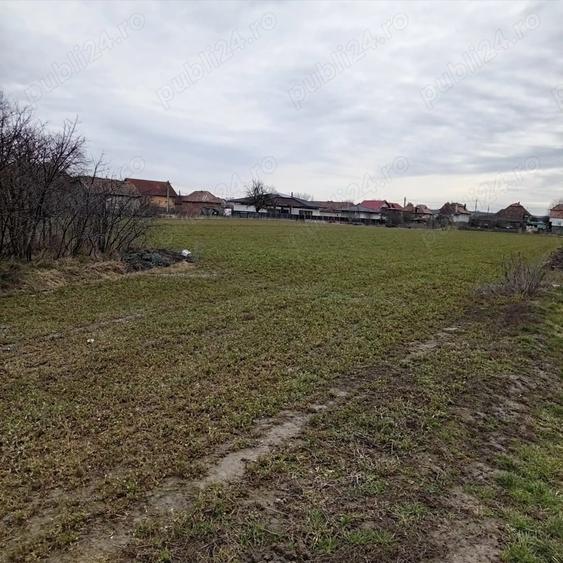 Teren de 5900 mp, în Mihai Viteazu