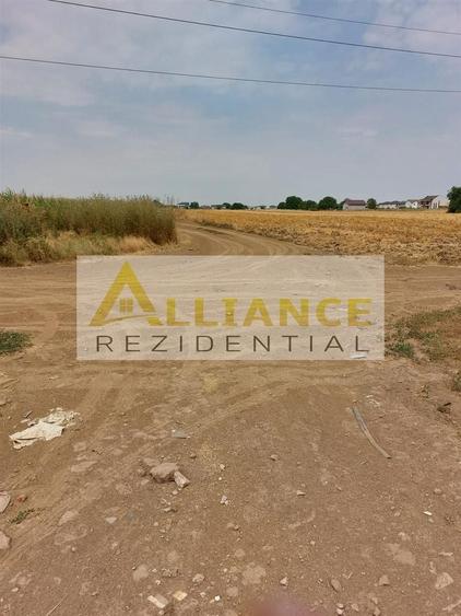Teren 330 mpla 250-300 m de alte case.Zona in dezvoltare. - 5