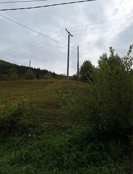 Spațiu comercial, în Valea Neagră