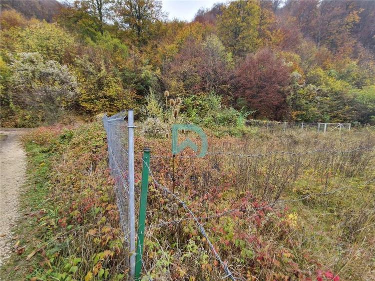 Teren intravilan de 500 mp, în Baciu