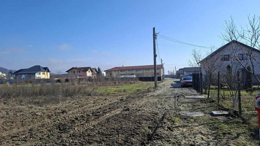 Teren Construcții intravilan de 3633 mp, în Ștefănești