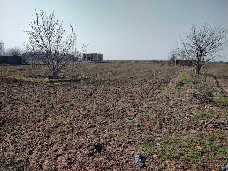 Teren de 5000 mp, în Frumușani