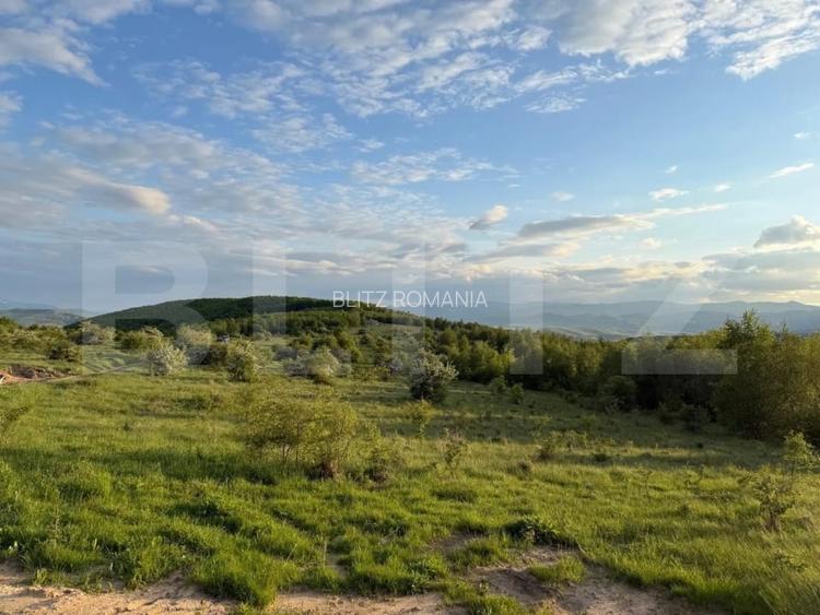 Teren intravilan, 1000 mp, zona Salicea