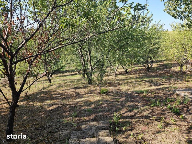 Casă cu 4 camere cu Teren 3000 Mp în Nicolina