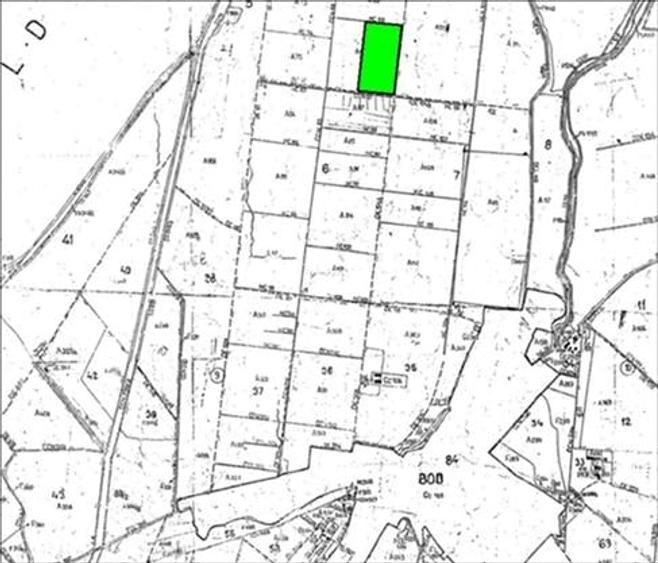 Teren agricol extravilan de 47100 mp, în Bod
