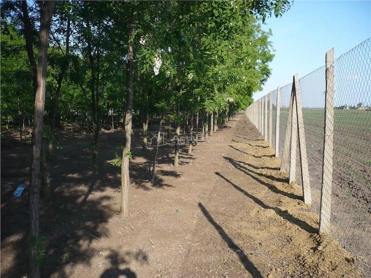 Casă cu 7 camere cu Teren 7241 Mp în Central