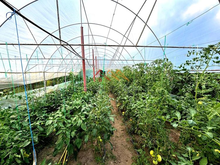 Casă individuală cu 6 camere cu Canalizare în Valea Lungă