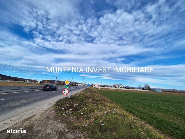 Teren intravilan 23504 mp. com.Maracineni,sat Argeselu. - 5