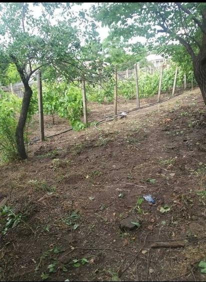 Casă cu 3 camere cu Teren 1746 Mp în Cudalbi