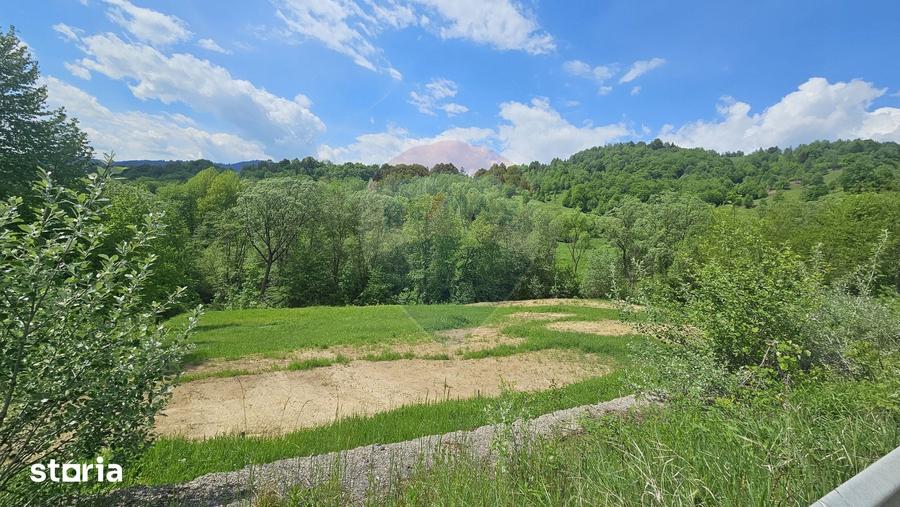 Teren de 2910 mp, în Hangu