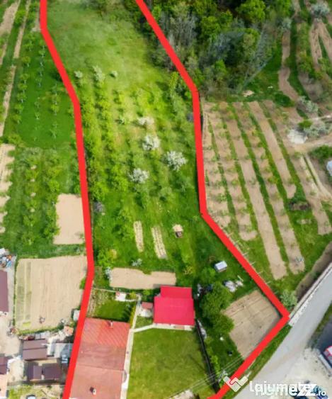 Casă cu 7 camere cu Teren 7829 Mp în Cuca