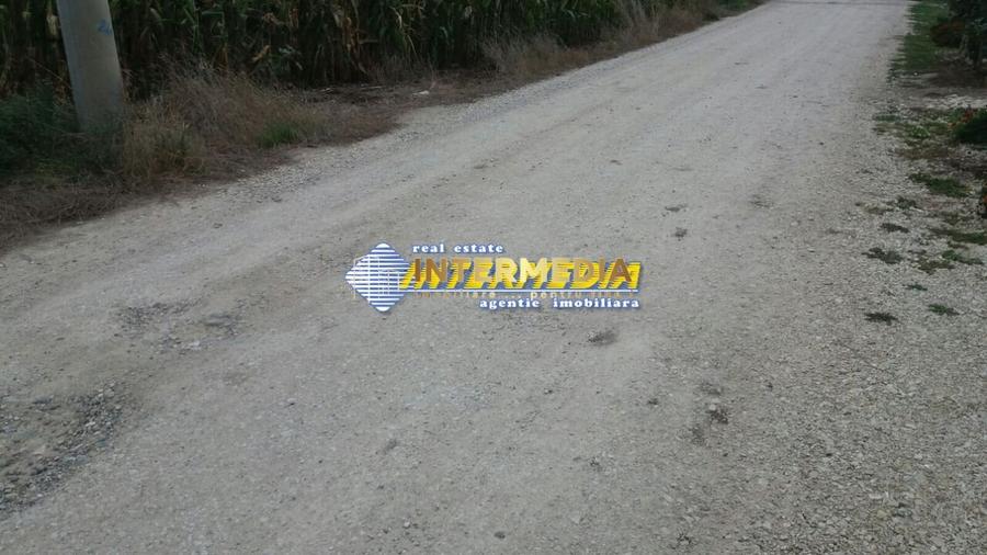 Teren Construcții intravilan de 11000 mp, în Cetate