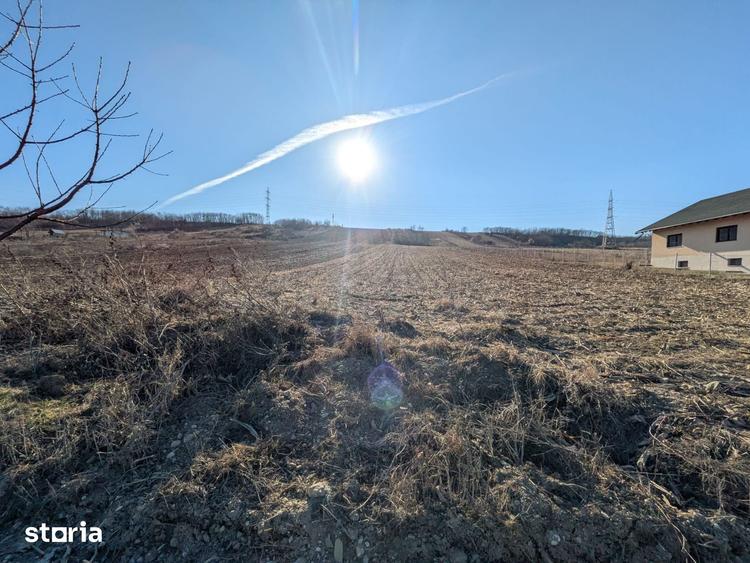 Teren de 10000 mp, în Săucești