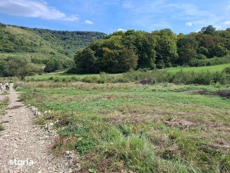 Teren de 1200 mp, în Florești