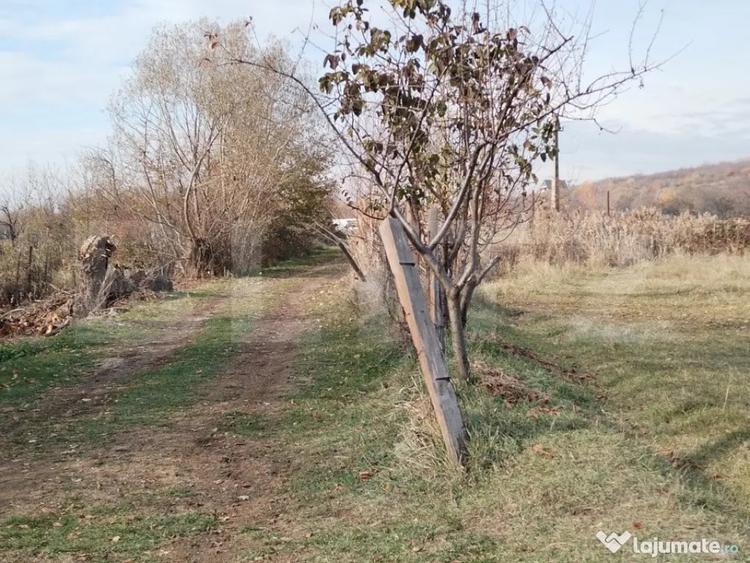 Teren de 3360 mp, în Aninoasa