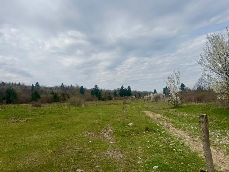 Teren Construcții intravilan de 2000 mp, în Central
