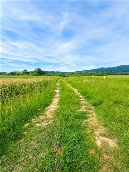Teren agricol extravilan de 7000 mp, în Periferie