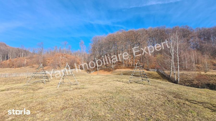 Teren de 4681 mp, în Cicănești