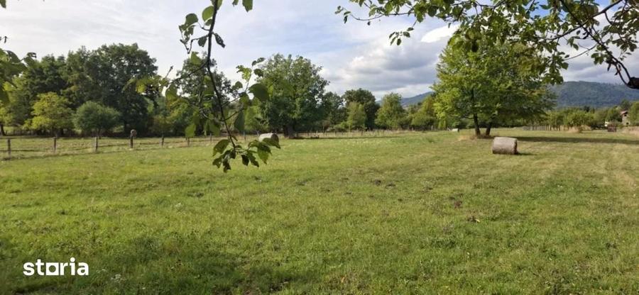 Teren de vanzare intravilan Bistra Muresului 4915 mp - 2
